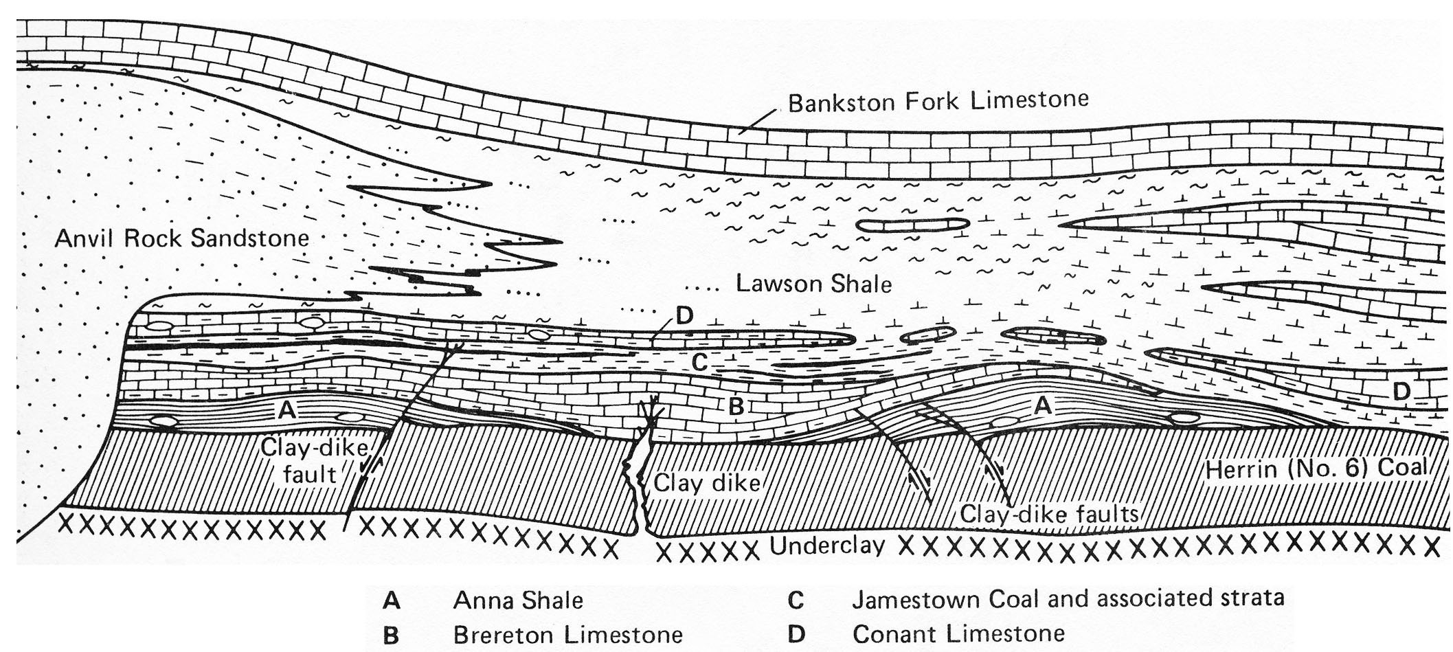 Clay veins are sometimes associated with changes in thickness of overlying limestones (B) and black shales (A) in the Illinois Basin (from Damberger and others, 1980, Fig. 12, with permission from the Illinois State Geological Survey).